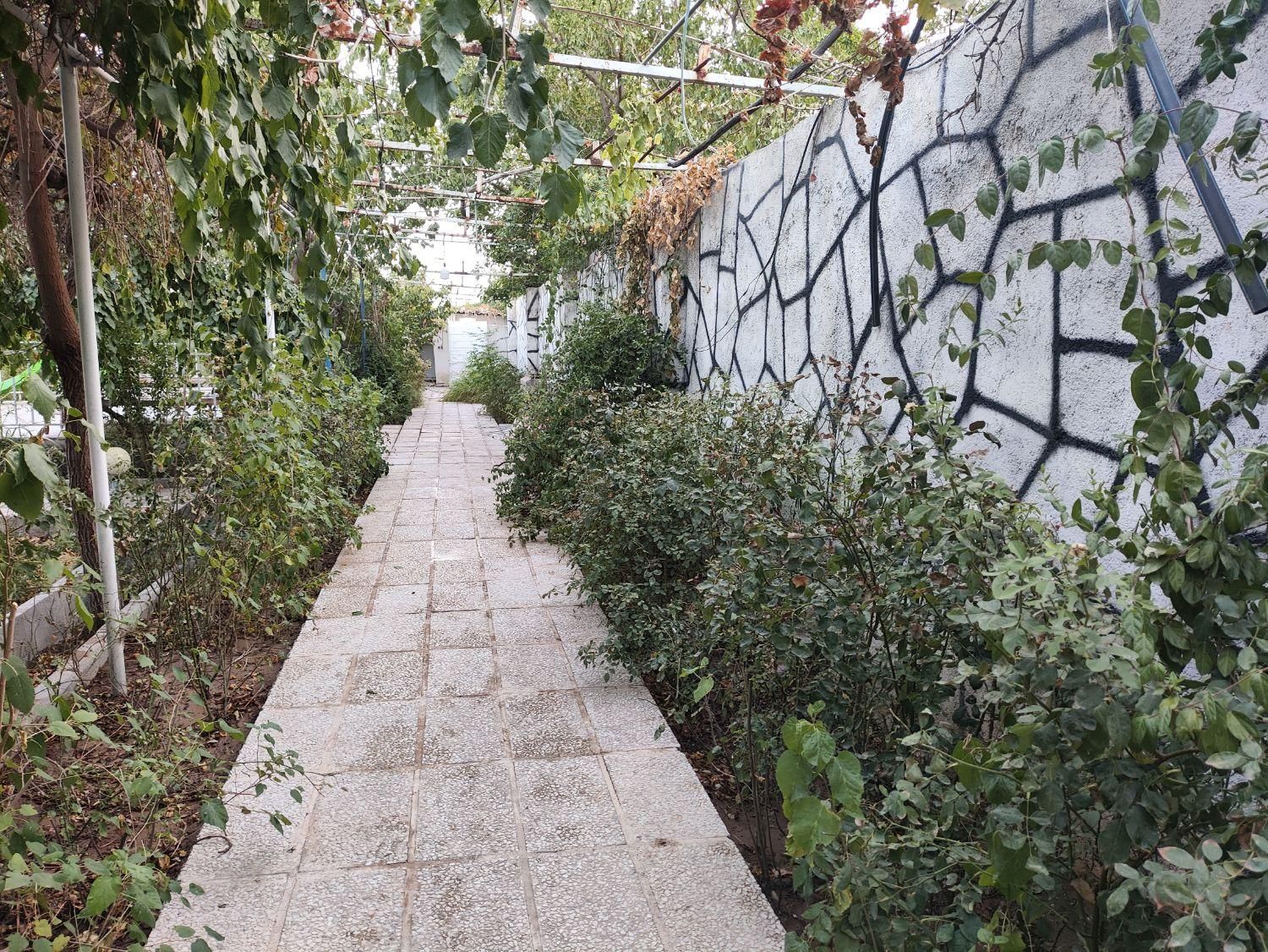 اجاره باغ روزانه|اجارهٔ کوتاهمدت ویلا و باغ|پاکدشت, پاکدشت (مامازند)|دیوار