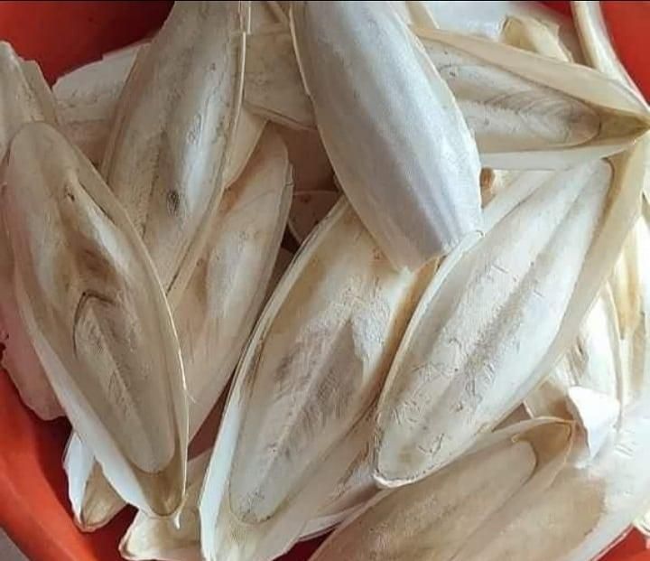 کف دریا سالم دورشت|آرایشی، بهداشتی، درمانی|بندرلنگه, |دیوار