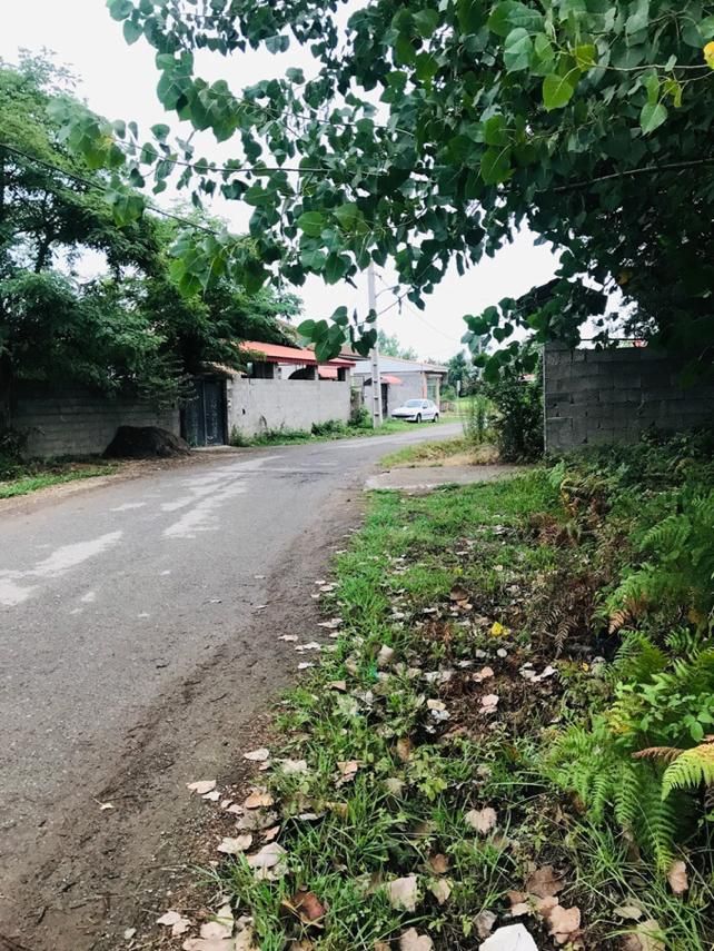 زمین مسکونی ۲۵۰ متری با پروانه ساخت /تهاتر/ معاوضه|فروش زمین و ملک کلنگی|رشت, سیا اسطلخ|دیوار