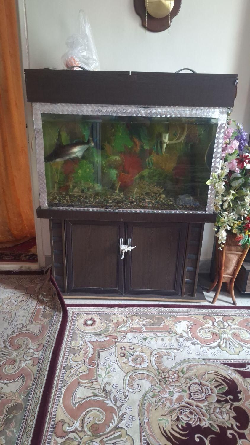 آکواریوم وماهی باتمام وسایل|ماهی|ورامین, ورامین|دیوار