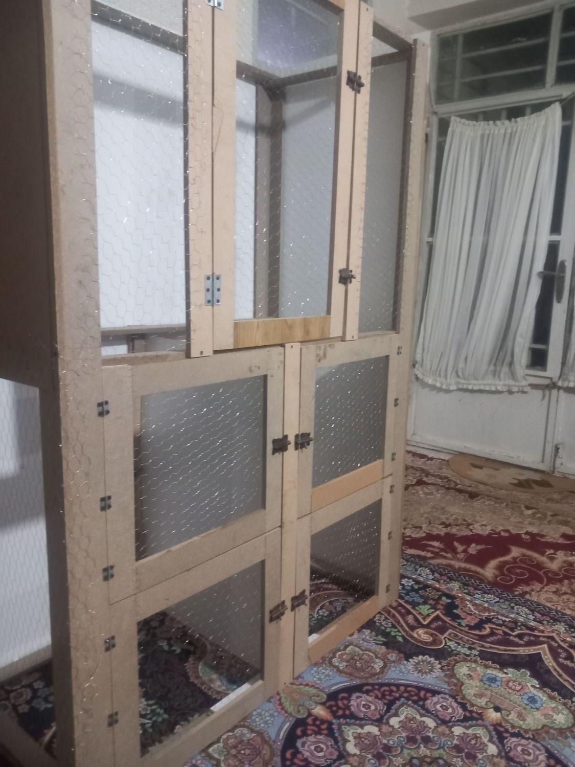 کبوتر روی میخ|پرنده|رفسنجان, |دیوار