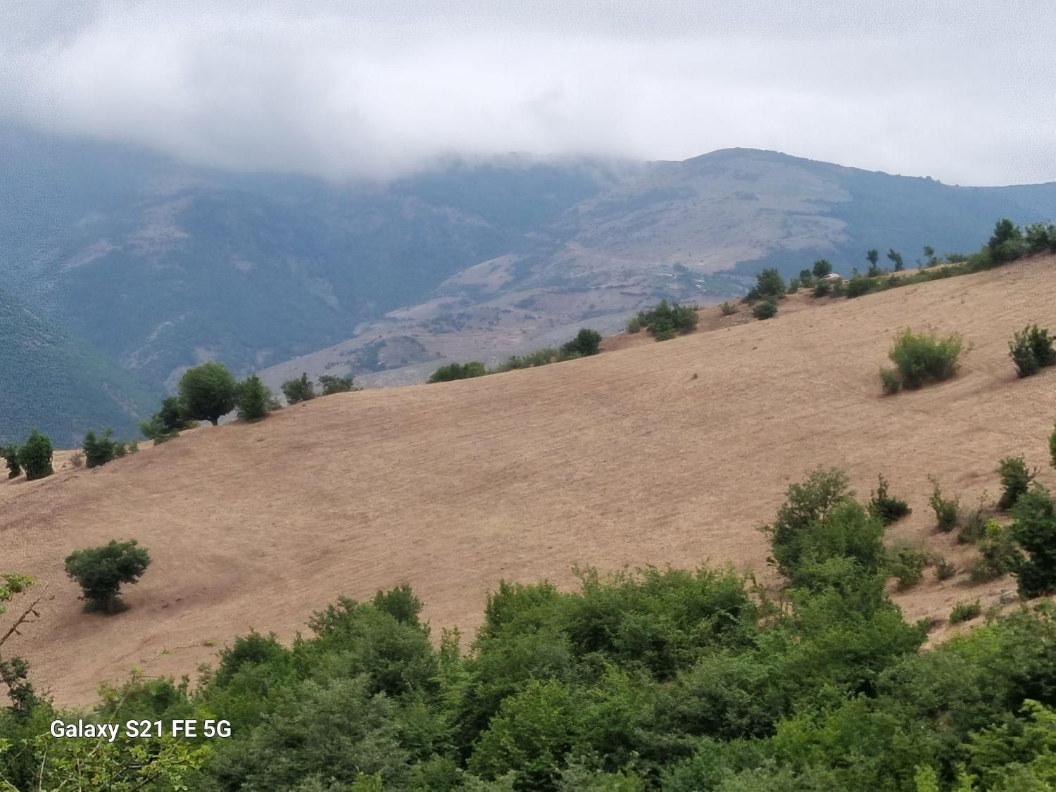 فروش زمین ۲هکتاری طالکوه گیلان ویژه مرغداری|فروش زمین و ملک کلنگی|برهسر, |دیوار