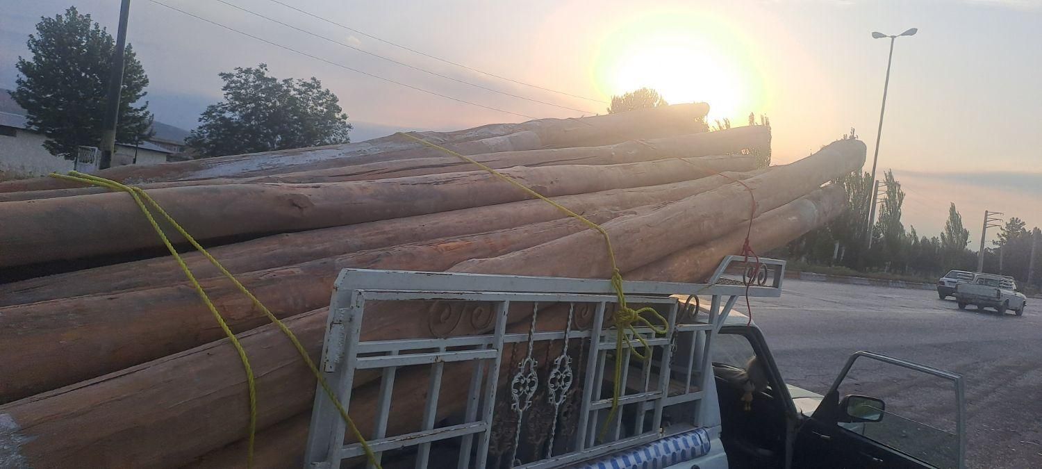 خرید چوب خشک سقفی وانواع چوب درباغات|خدمات پیشه و مهارت|ارومیه, |دیوار