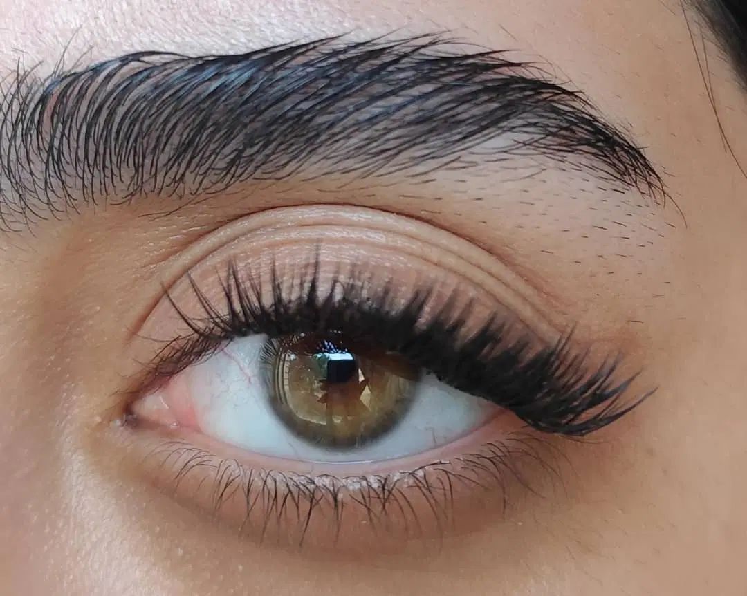 مدل کاشت مژه هیدن|خدمات آرایشگری و زیبایی|رشت, دیانتی|دیوار
