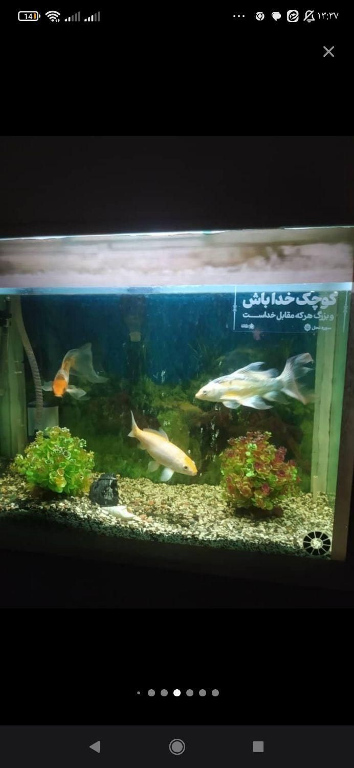 وسایل منزل فروشی|حراج|تهران, مشیریه|دیوار
