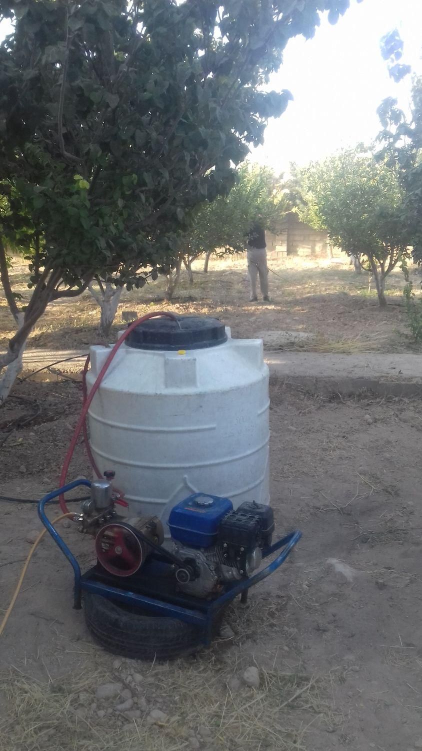 خدمات باغبانی سم پاشی هرس کاشت چمن وبرش درخت تیلر|خدمات باغبانی و درختکاری|شیراز, دشت چنار|دیوار