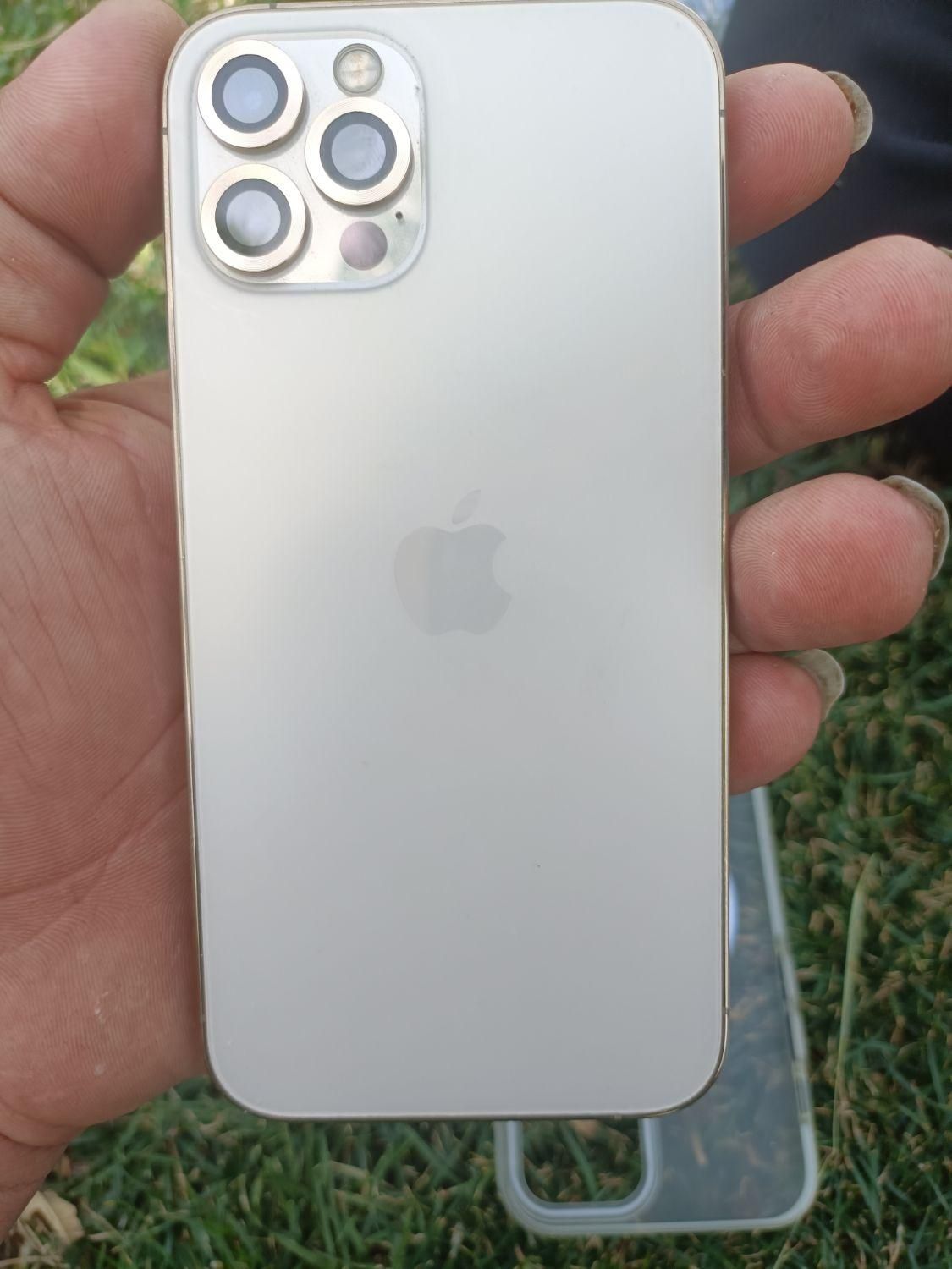 اپل iPhone 12 Pro با حافظهٔ ۲۵۶ گیگابایت|موبایل|رفسنجان, |دیوار