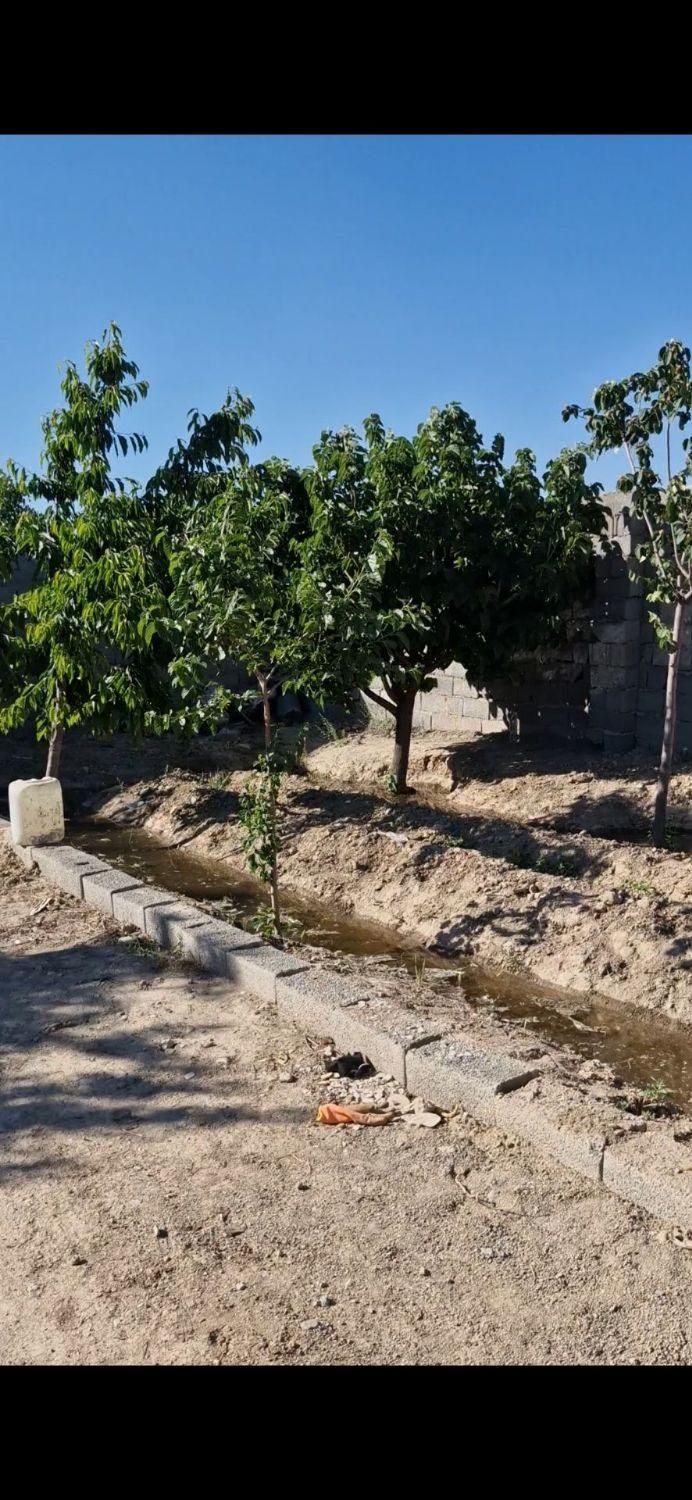 ۵۶۰مترباغچه چهاردیواری سنددارنسیم شهر|فروش دفتر صنعتی، کشاورزی، تجاری|نسیم‌شهر, |دیوار