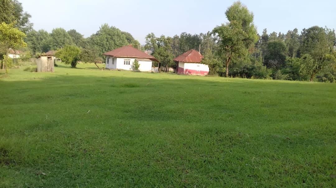 ویلای قدیمساز جنگلی ۱۲هزار متری ، رضوانشهر|فروش زمین و ملک کلنگی|رضوانشهر, |دیوار