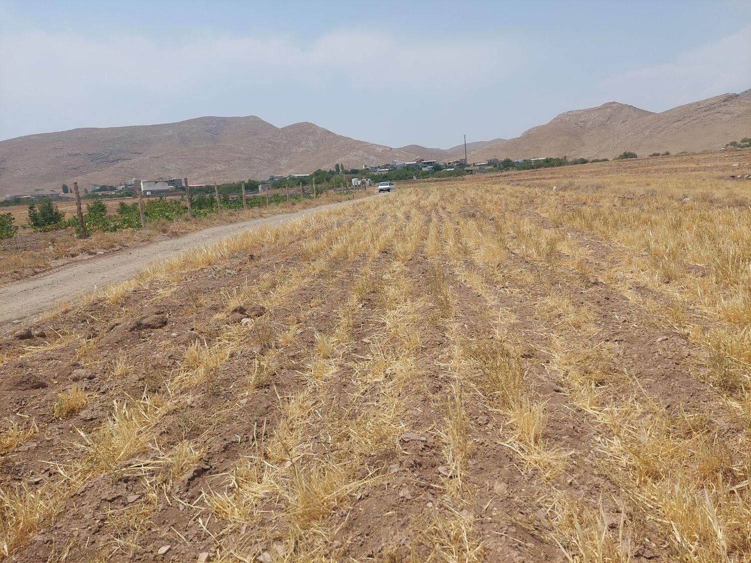 ۱۵۰۰ متر زمین کنار روستا مناسب برای سرمایه گذاری|فروش زمین و ملک کلنگی|قم, محمد آباد|دیوار
