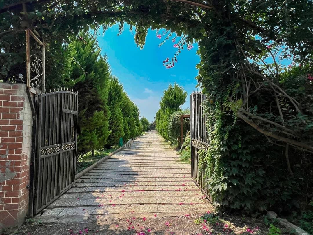 ویلا استخردار. کلاسیک|اجارهٔ کوتاه‌مدت ویلا و باغ|فریدون‌کنار, |دیوار