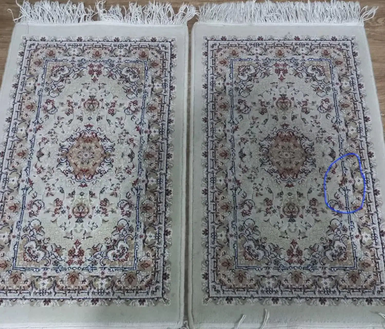 پادری|پادری|تهران, مهرآباد جنوبی|دیوار