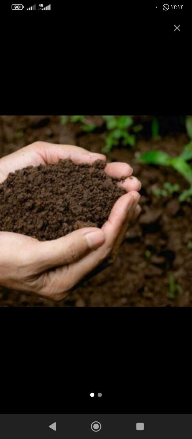 خاک باغچه تضمینی وبا کیفیت|خدمات باغبانی و درختکاری|زاهدان, |دیوار