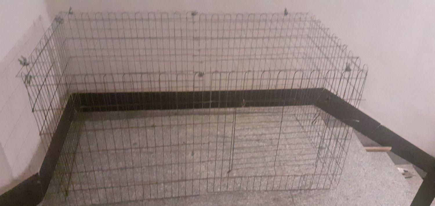 لوازم جانبی حیوانات|لوازم جانبی حیوانات|رشت, انصاری|دیوار