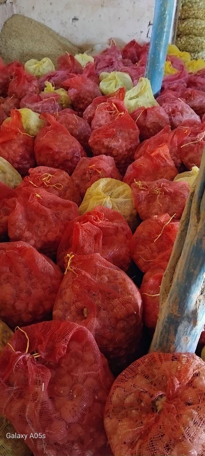 سیر فروشی درجه یک در تور    برای بذری|عمده‌فروشی|شادیان, |دیوار