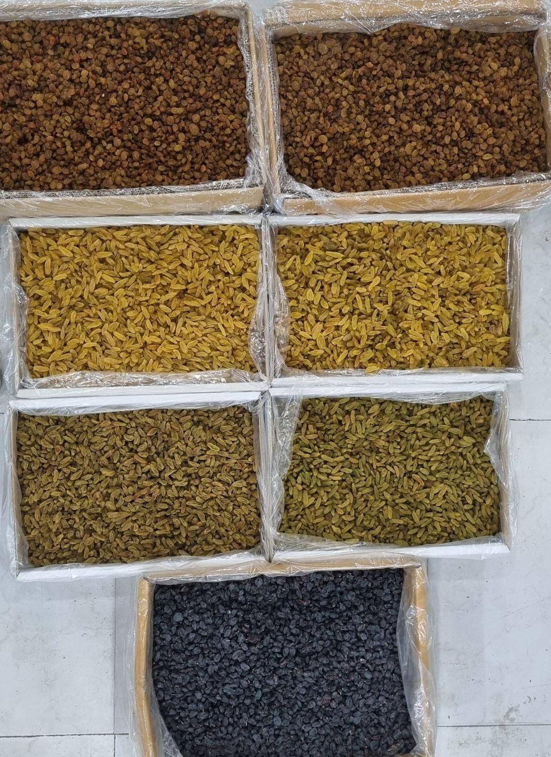 مویز،کشمش،شیره انگور (عمده خرده)|خوردنی و آشامیدنی|بوشهر, |دیوار