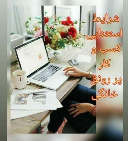 خانم ها،در،منزل،کسب، درآمد|استخدام آموزشی|رفسنجان, |دیوار