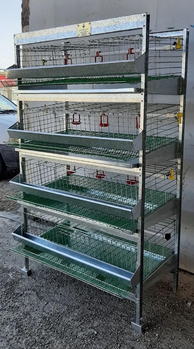 قفس جوجه یکروزه ،مرغ ، بلدرچین  و کبک تخمگذار و..|لوازم جانبی حیوانات|ساری, |دیوار