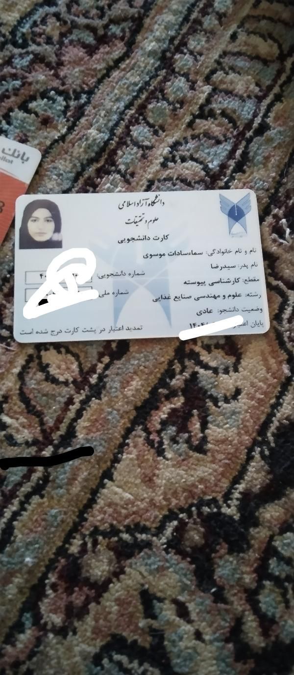اشیا پیدا شده به نام سما سما، سادات موسوی|اشیا|الیگودرز, |دیوار