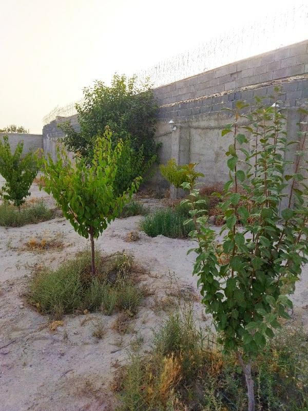 باغ/باغچه/چهار دیواری|فروش زمین و ملک کلنگی|تهران, اکباتان|دیوار
