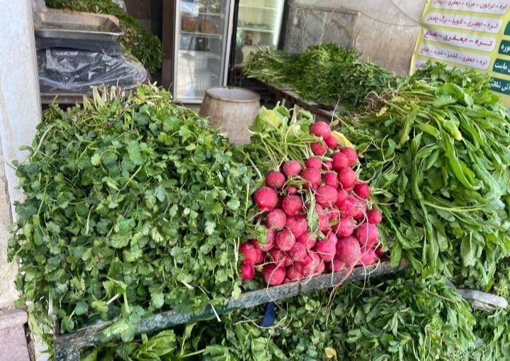 سبزی خوردن تازه بسته بندی|خوردنی و آشامیدنی|مشهد, وحید|دیوار