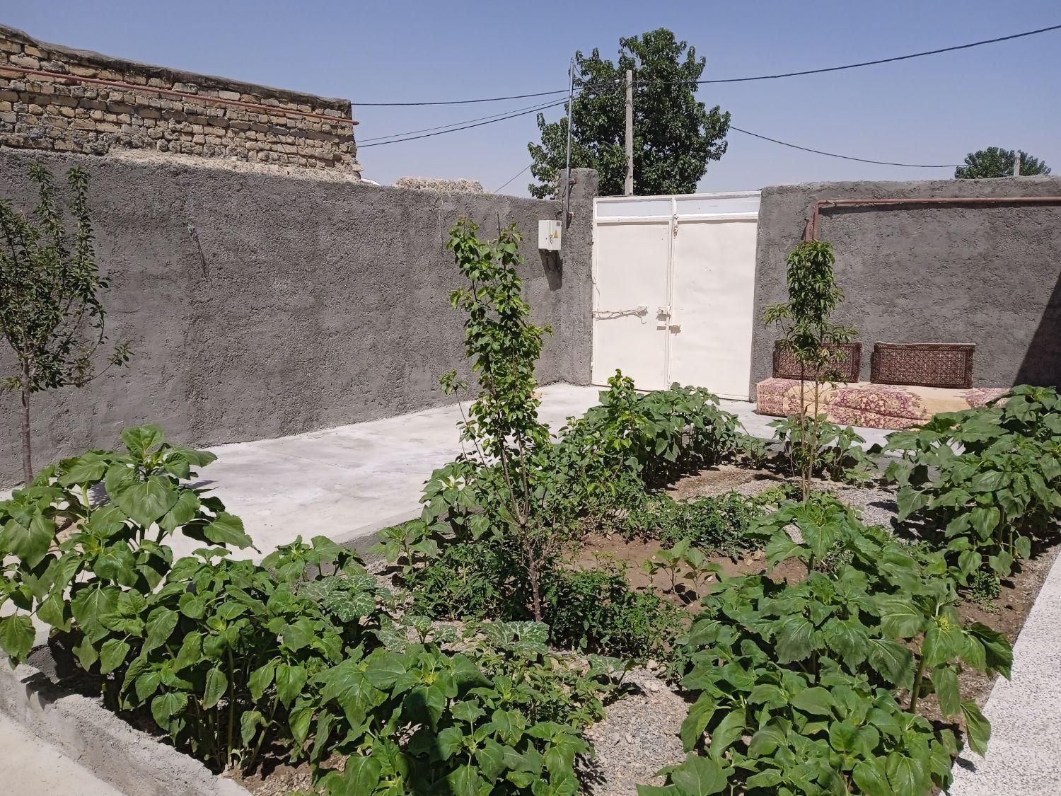 خانه ویلایی در روستای امیرآباد|فروش خانه و ویلا|چناران, |دیوار