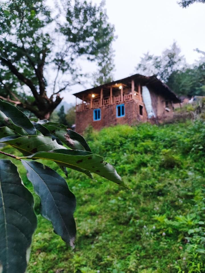 اجاره کلبه جنگلی|اجارهٔ کوتاهمدت ویلا و باغ|املش, |دیوار