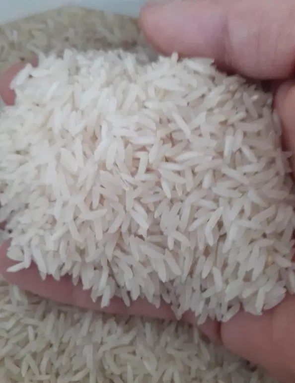 **برنج اصل هاشمی**|خوردنی و آشامیدنی|تهران, ترمینال جنوب|دیوار