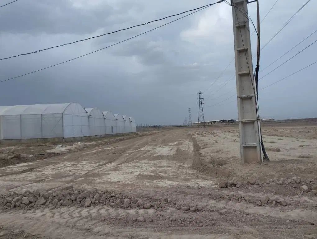 فروش ۱۰۰۰ متر زمین با کاربری گلخانه در جنوب تهران|فروش دفتر صنعتی، کشاورزی، تجاری|کهریزک, |دیوار