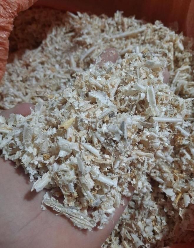 پوشال و تراشه چوب خاک اره چوب|عمدهفروشی|مشهد, امیر|دیوار