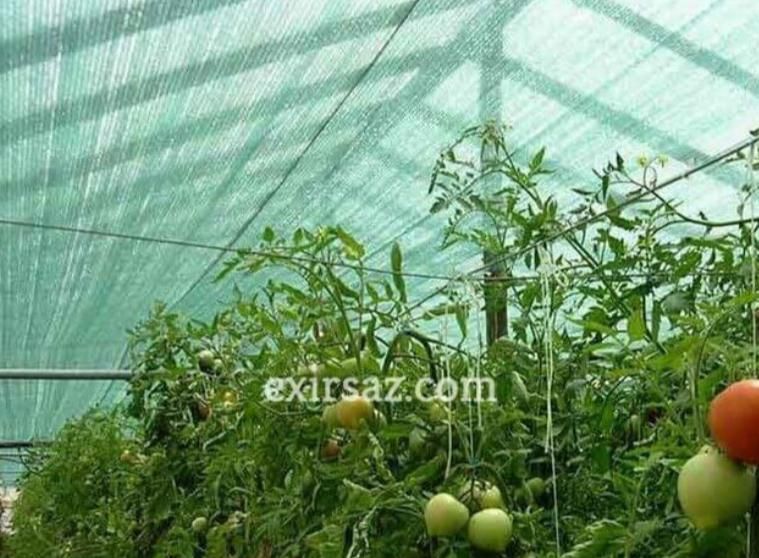 شید گلخانهای/توری گلخانهای/در ابعاد مختلف|عمدهفروشی|تهران, بازار|دیوار