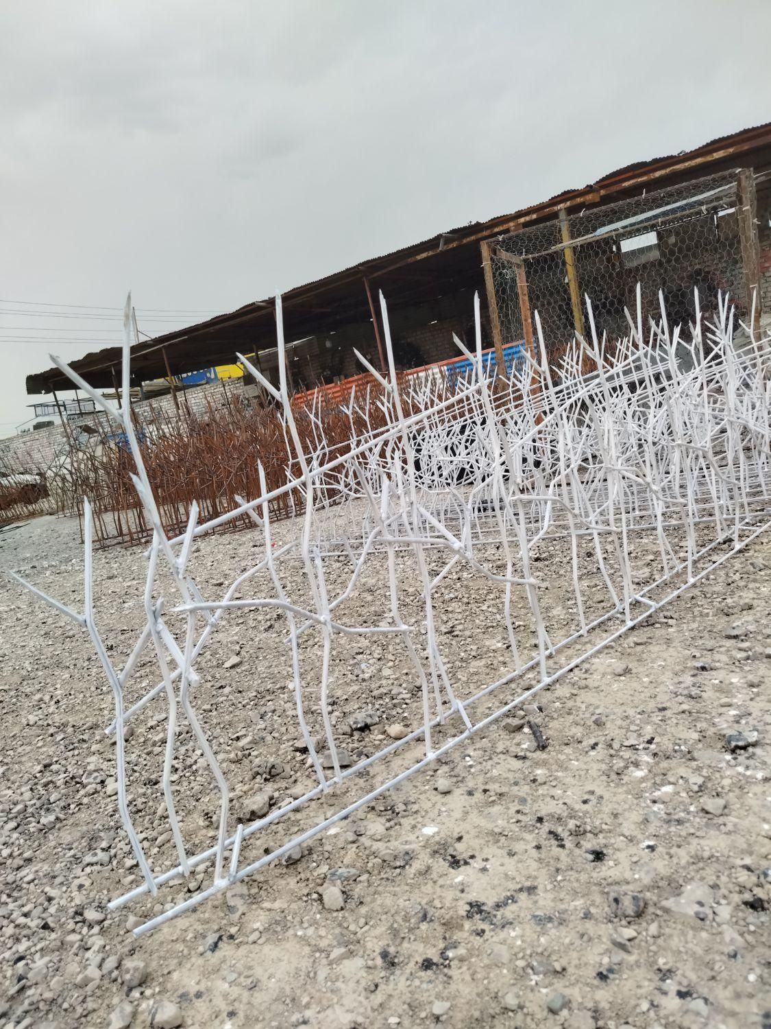 حفاظ شاخگوزنی نیزار در و دیوار|مصالح و تجهیزات ساختمان|وحیدیه, |دیوار