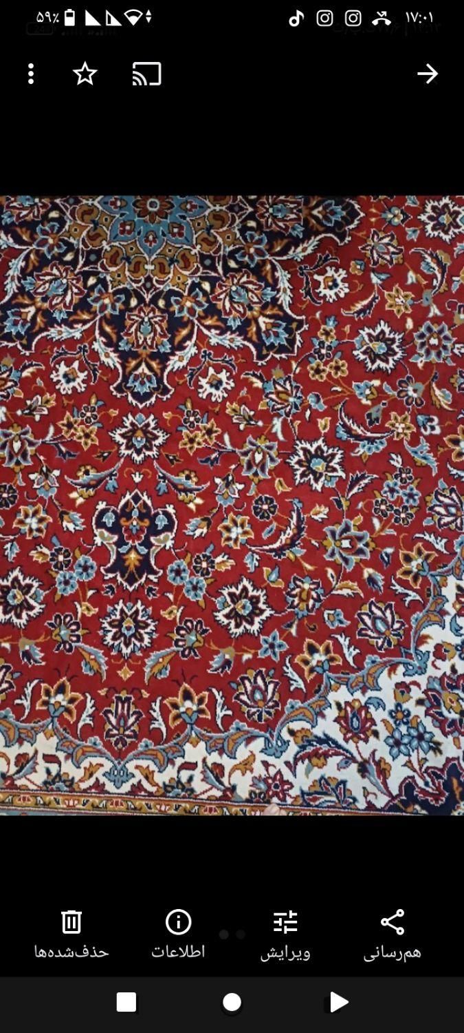 قالی .فرش|فرش|تربت جام, شاد|دیوار