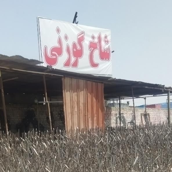 استخدام جوشکار حفاظ شاخ گوزنی با جای خواب + کنترات|استخدام معماری، عمران و ساختمانی|نسیم‌شهر, |دیوار