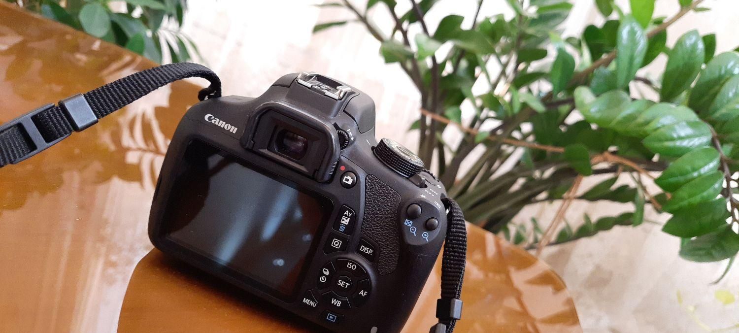 دوربین Canon 1200D تمییز و سالم ، در حد نو|دوربین عکاسی و فیلم‌برداری|تهران, گرگان|دیوار