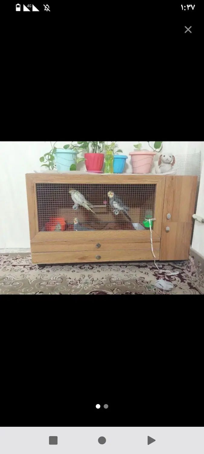 قفس|لوازم جانبی حیوانات|مشهد, کوی سیدی|دیوار