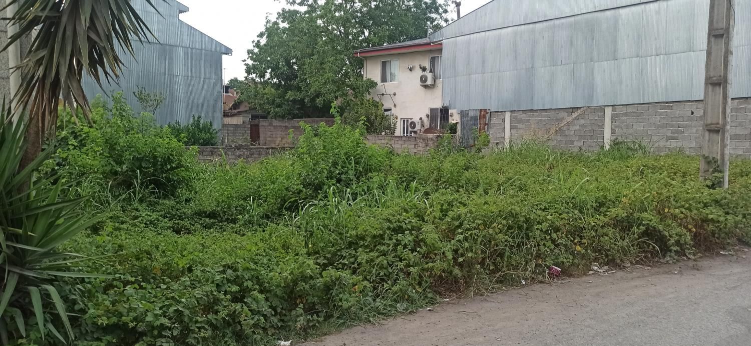 زمین  ارزان در خوش اب و هوا ترین جای ایران|فروش زمین و ملک کلنگی|تهران, علم و صنعت|دیوار