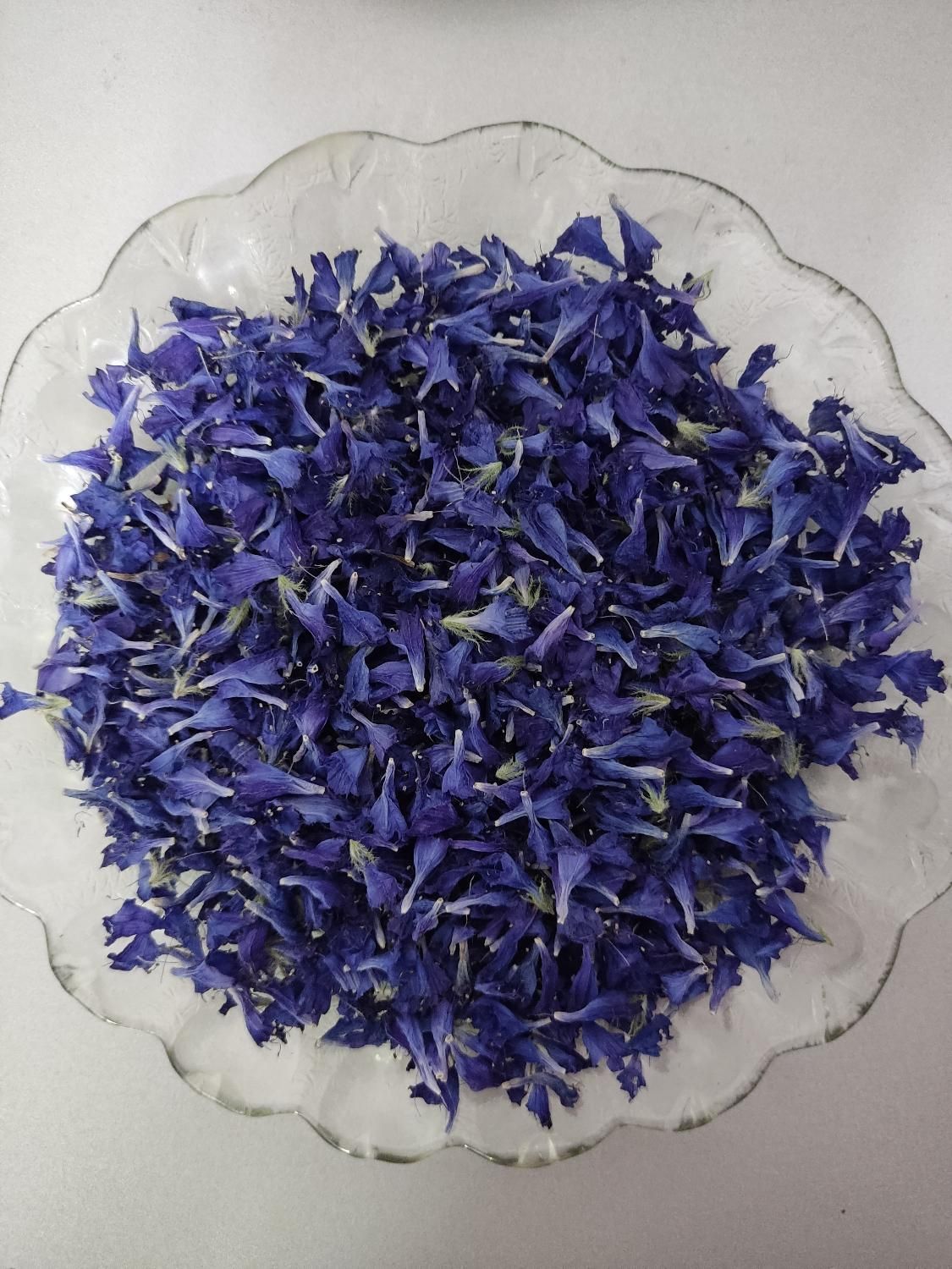 گل گاو زبان|خوردنی و آشامیدنی|آستانه اشرفیه, |دیوار