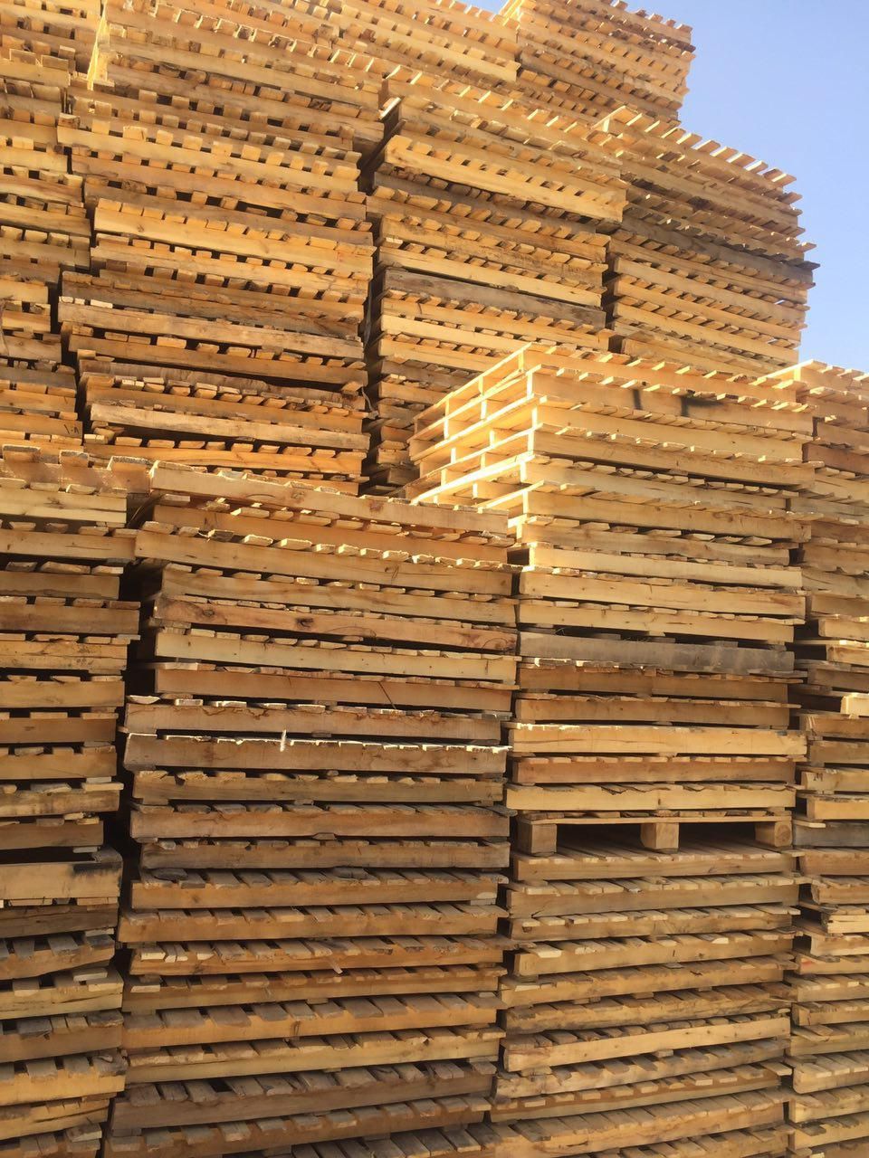 پالت چوبی و پلاستیکی . خرید و فروش انواع|عمده‌فروشی|قرچک, پویینک|دیوار