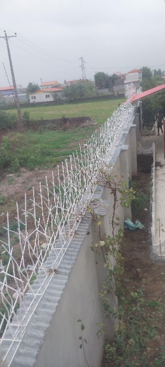 پخش شاخ گوزنی همراه با نصب|مصالح و تجهیزات ساختمان|آمل, |دیوار