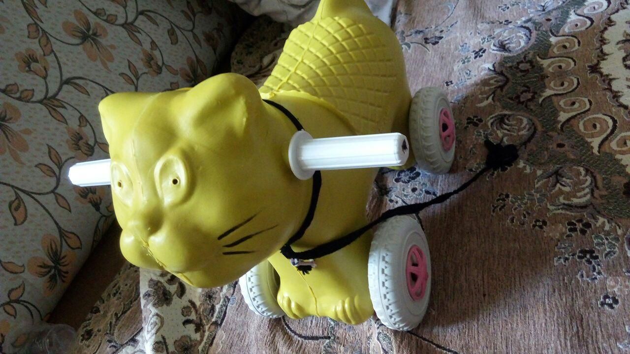 وسایل کودک|اسباب و اثاث بچه|پرند, |دیوار