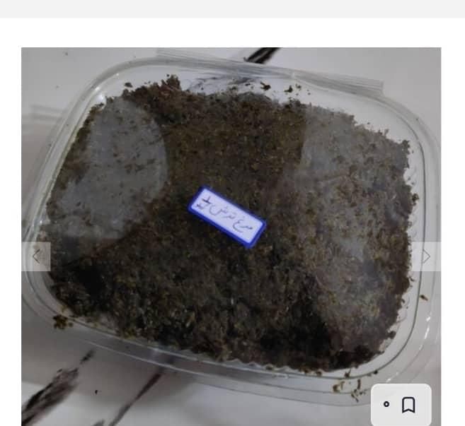 انواع سبزی باقلی .بادمجان کبابی.سیر|خوردنی و آشامیدنی|رشت, گلسار|دیوار