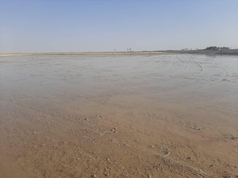 تسطیح لیزری|خدمات باغبانی و درختکاری|شوشتر, |دیوار