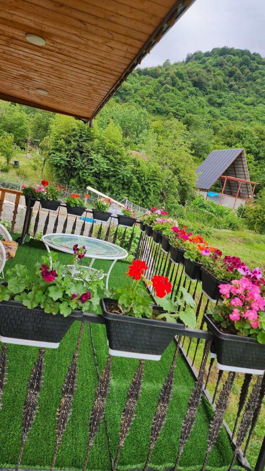 کلبه چوبی دوبلکس جنگلی زیر بام سبز ماسال|اجارهٔ کوتاه‌مدت ویلا و باغ|ماسال, |دیوار