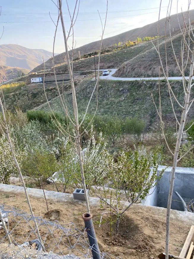 باغچه جاده چالوس روستای کندر|فروش خانه و ویلا|کرج, بیلقان|دیوار