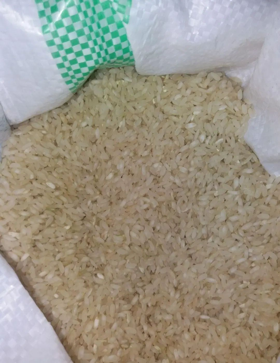 شلتوک لنجان زرین شهر|خوردنی و آشامیدنی|اصفهان, شاهزاده ابراهیم|دیوار