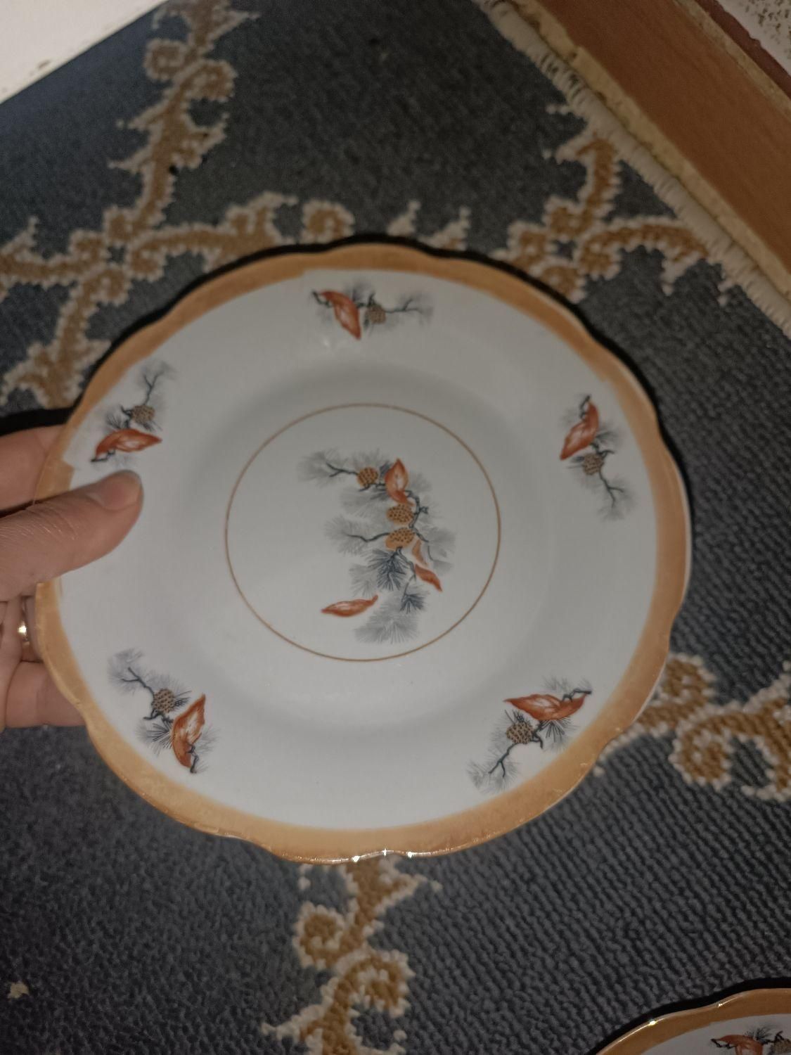 بشقاب چینی قدیمی|ظروف سرو و پذیرایی|فیروزآباد (فارس), |دیوار