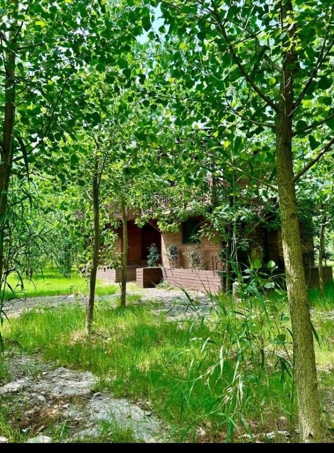 ویلا با آپشن های بی نظیر/ در مجموعه سرسبز|فروش خانه و ویلا|بافت, |دیوار