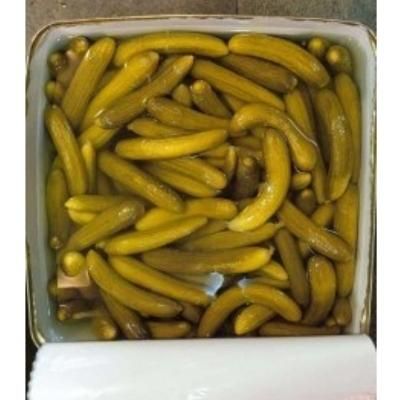 حلب خیارشور کارخونه ای|عمده‌فروشی|صدرا-فارس, |دیوار