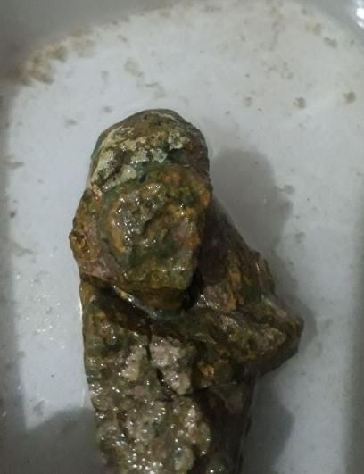 مجسمه شجر عتیقه|کلکسیون اشیاء عتیقه|اهواز, شریعتی جنوبی|دیوار